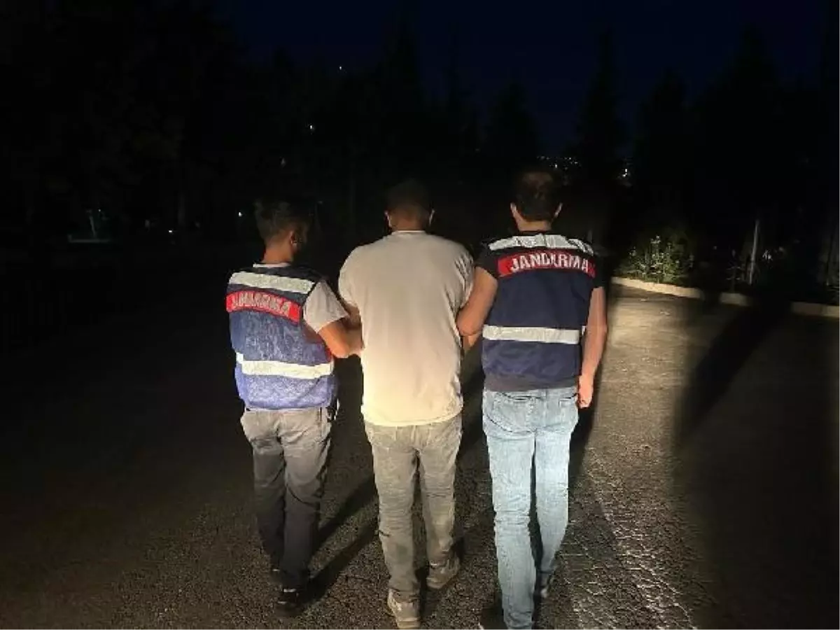 Kilis'te PKK Terör Örgütü Mensubu Yakalandı
