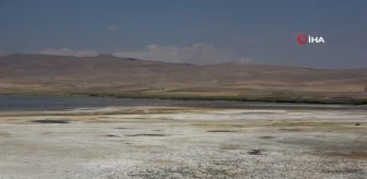 Kuş Cenneti Erçek Gölü'nde Büyük Su Kaybı