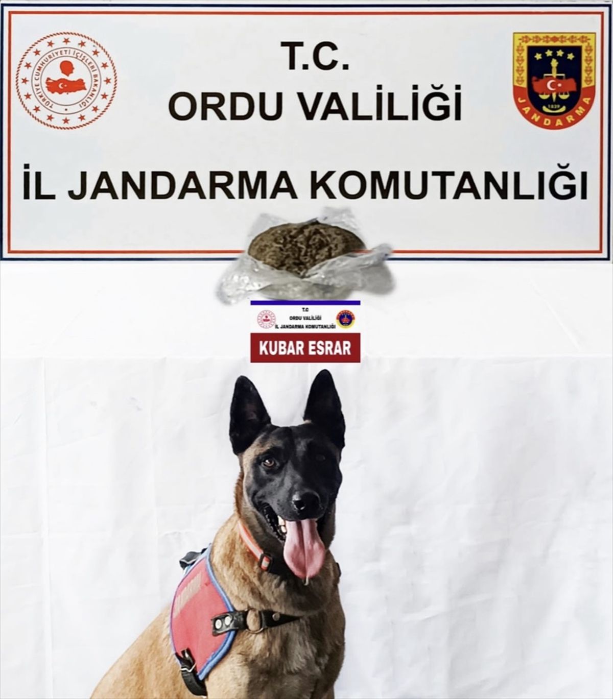 Ünye'de Uyuşturucu Operasyonu: 1 Şüpheli Gözaltına Alındı