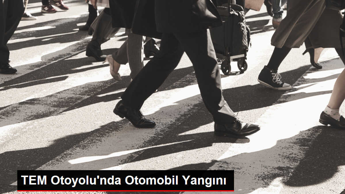 TEM Otoyolu'nda Otomobil Yangını