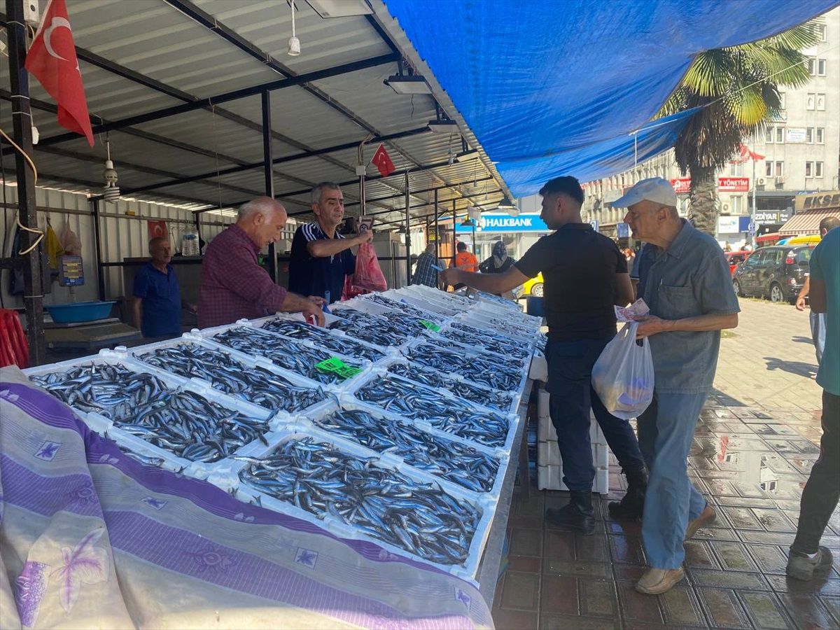 Zonguldak'ta Deniz Suyu Sıcaklığı Balık Fiyatlarını Yükseltti