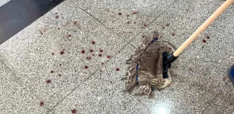 Dicle Üniversitesi Dekan Yardımcısı Bıçaklı Saldırıya Uğradı