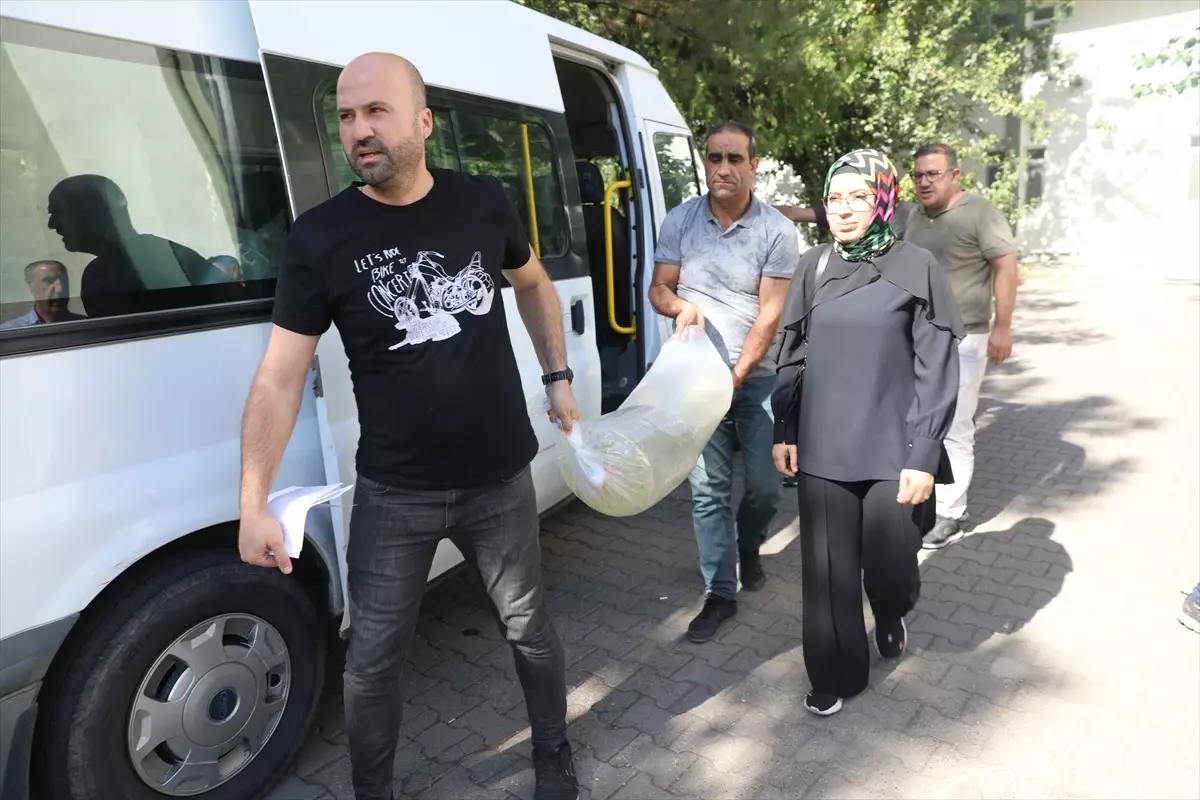 Diyarbakır'da göl ve göletlere 2 milyon 900 bin sazan yavrusu bırakıldı