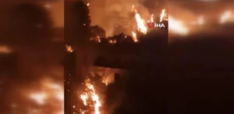 Sicilya Adası'nda Orman Yangını: Kırmızı Alarm Verildi, Eğitime Ara Verildi