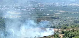 Aydın'ın Kuşadası ilçesinde orman yangını söndürüldü