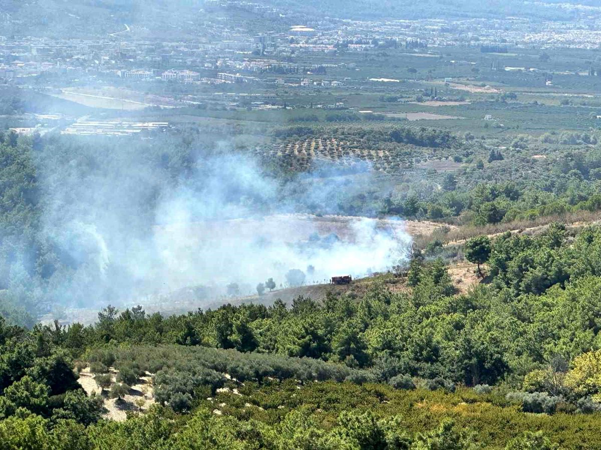 Aydın'ın Kuşadası ilçesinde orman yangını söndürüldü