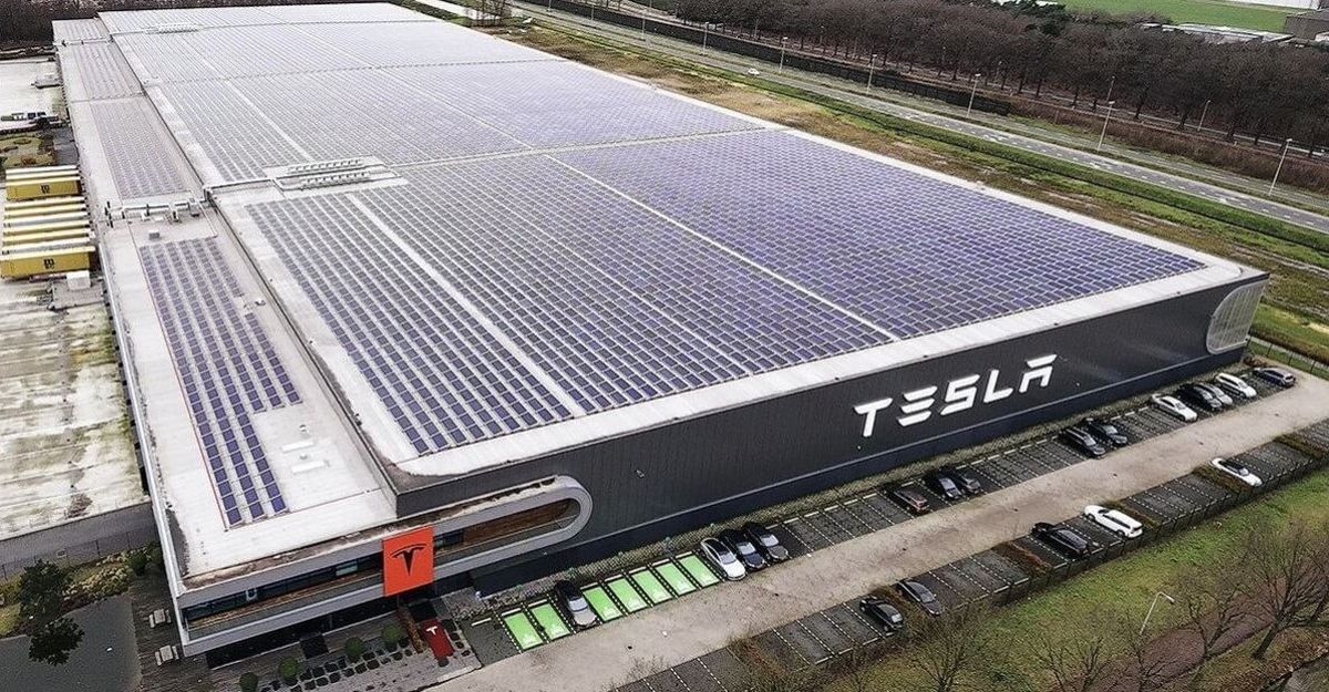 Tesla Türkiye'de fabrika kurar mı? Tesla Türkiye'de nereye fabrika açar?