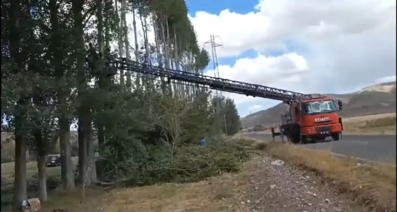 Yüksek gerilim hattının üzerinden geçtiği 200 ağaç kesildi