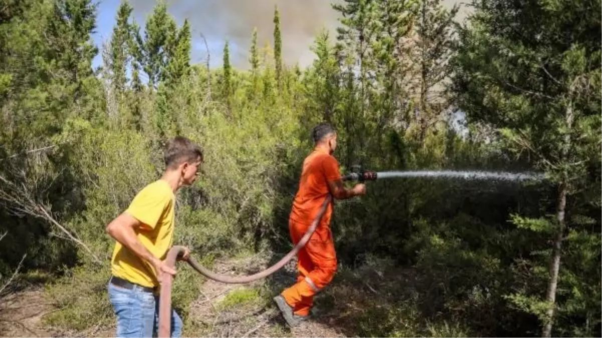 Antalya'da ot yangını, bakım yapılan teknelere ve ormana sıçradı (3)