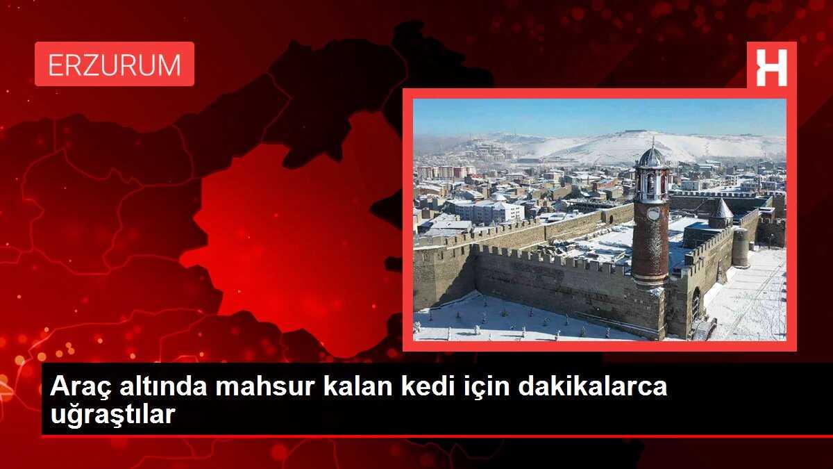 Araç altında mahsur kalan kedi için dakikalarca uğraştılar