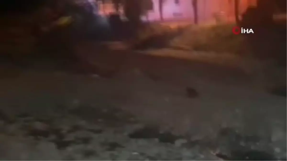 Ayılar, ilçe merkezine indi