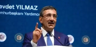 Cumhurbaşkanı Yardımcısı Yılmaz: Bağımsız Türkiye'yi dosta düşmana gösterdik (2)