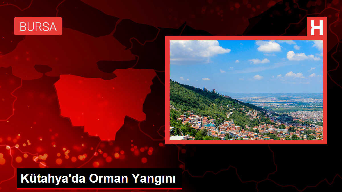 Kütahya'da Orman Yangını: Havadan ve Karadan Müdahale Ediliyor