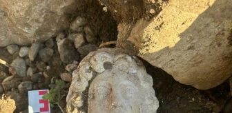Düzce'deki Prusias ad Hypium Antik Kenti'nde Büyük İskender'e ait heykel başı bulundu