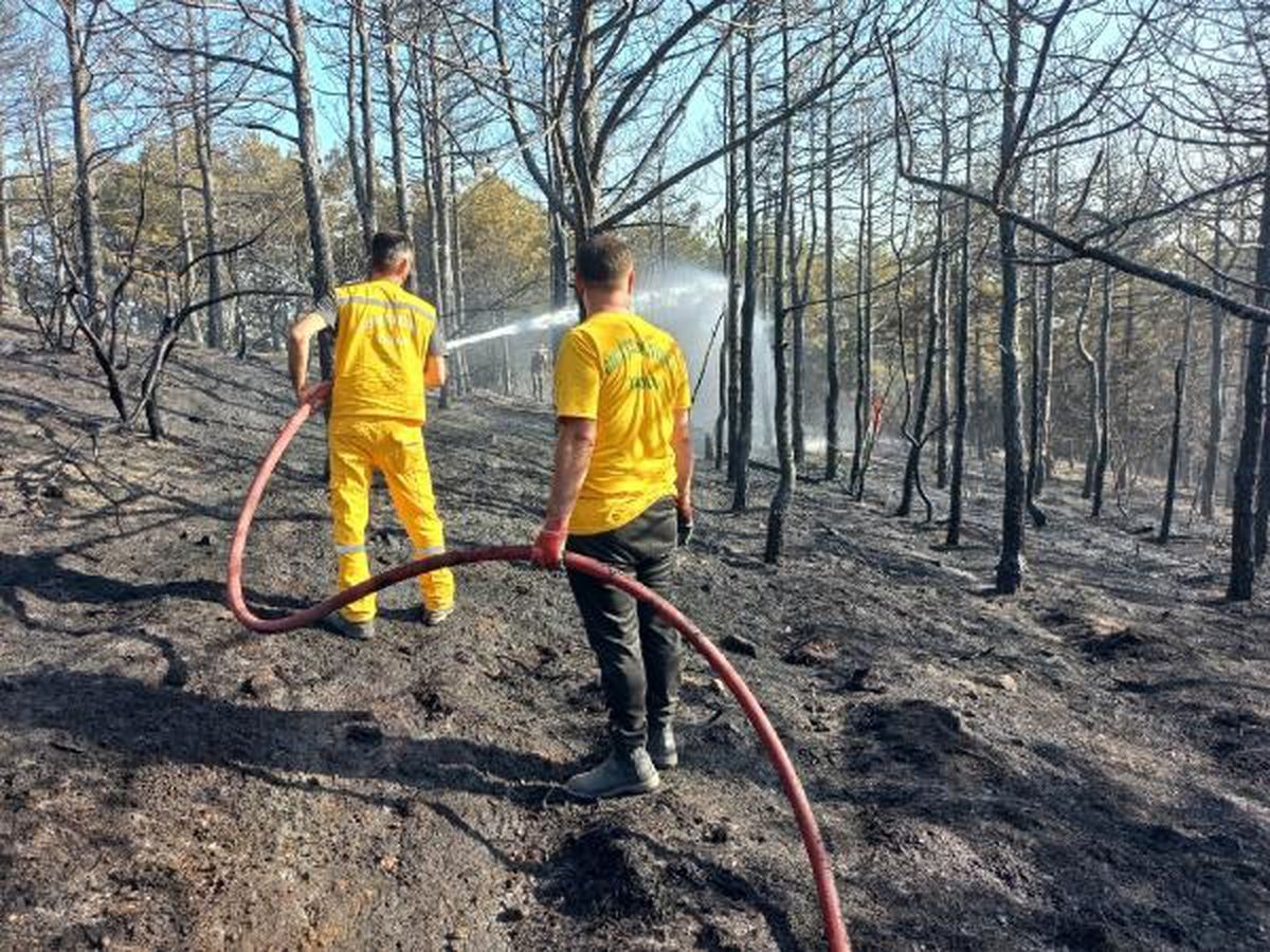 Gebze'de çıkan yangında 2 dönüm orman zarar gördü