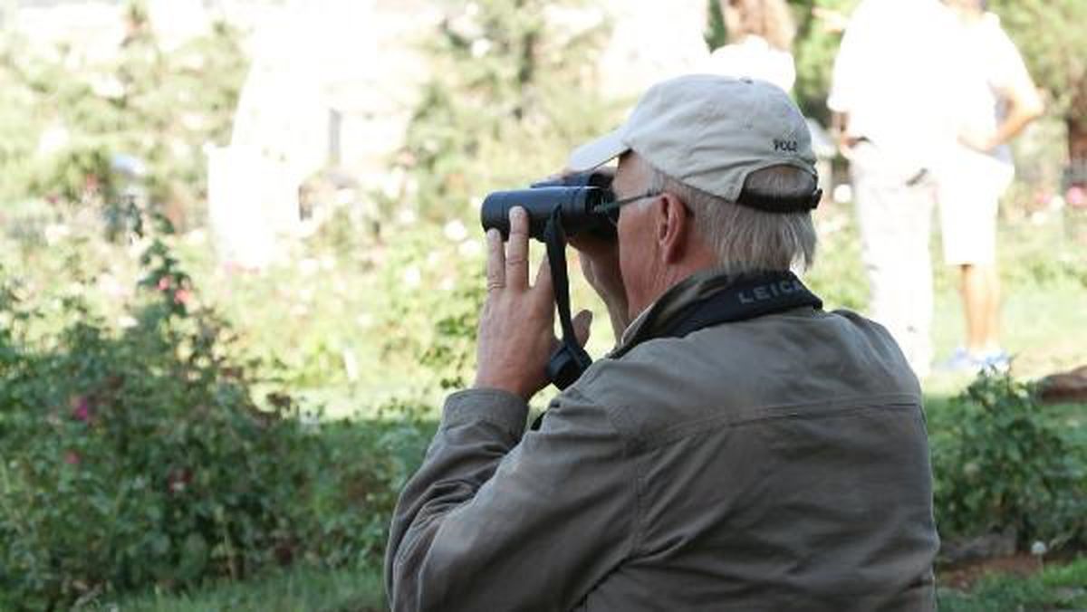 İSTANBUL'DA YIRTICI KUŞ GÖÇÜ GÖZLEMİ