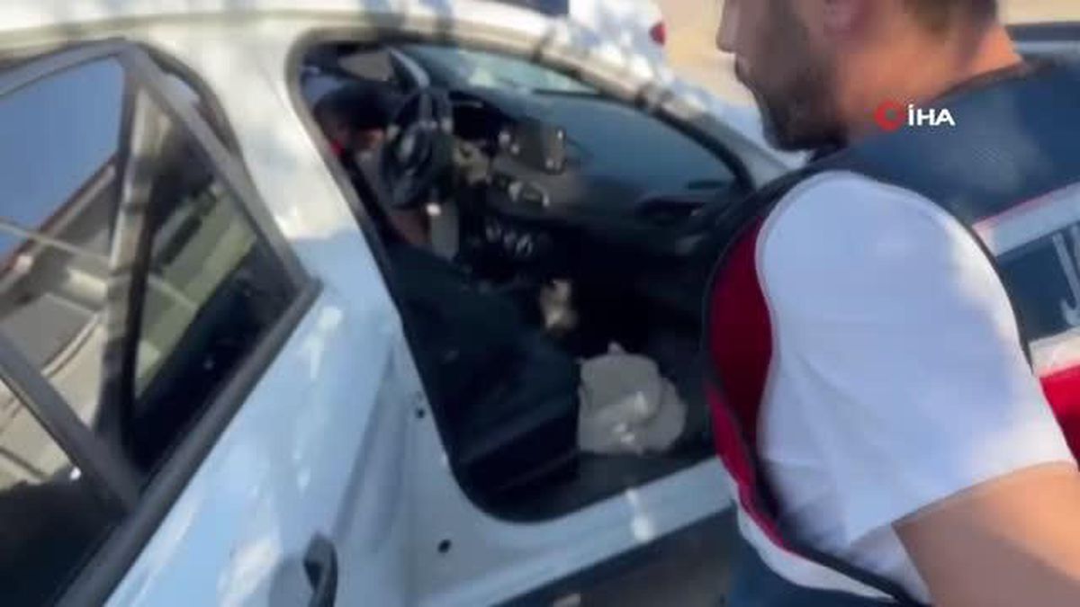 Jandarma operasyonunda 5 kilo 300 gram skunk ele geçirildi