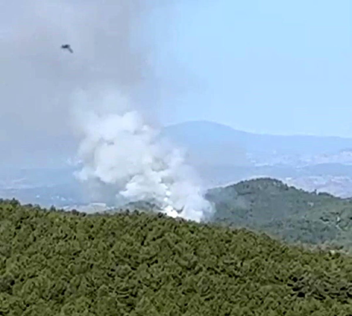 Kütahya'da Çamalan köyü yakınlarında orman yangını çıktı