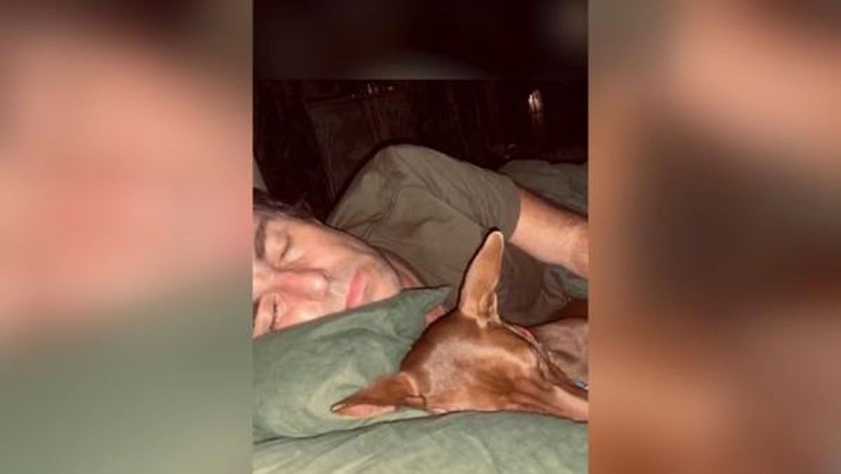 Liam Gallagher Tayland'da Terk Edilmiş Bir Köpeği Sahiplendi
