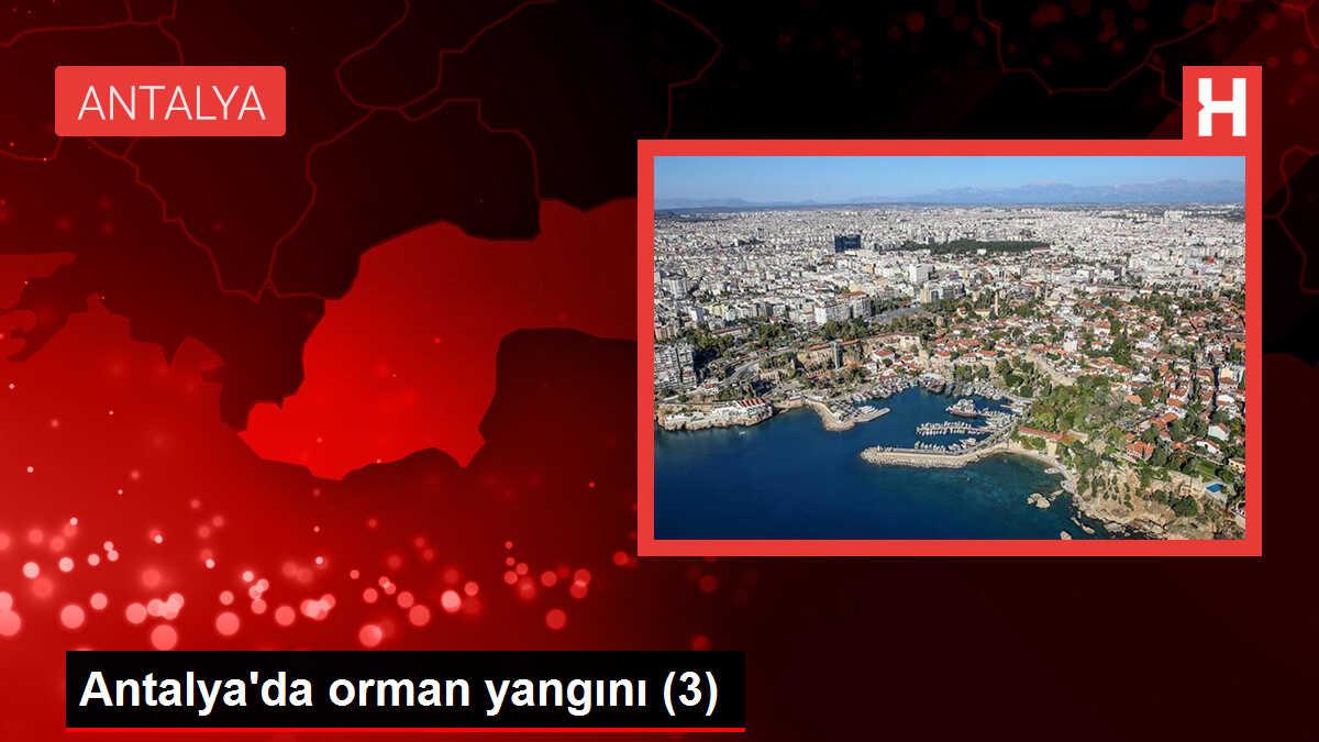Kaş'ta Yangın Bahçe Temizliği Sırasında Çıktı