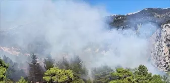 Kaş'ta ormanlık alanda çıkan yangına müdahale ediliyor