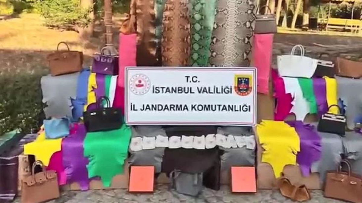 İstanbul'da kaçak imalathaneye baskın! Timsah, deve kuşu, yılan derileri ele geçirildi
