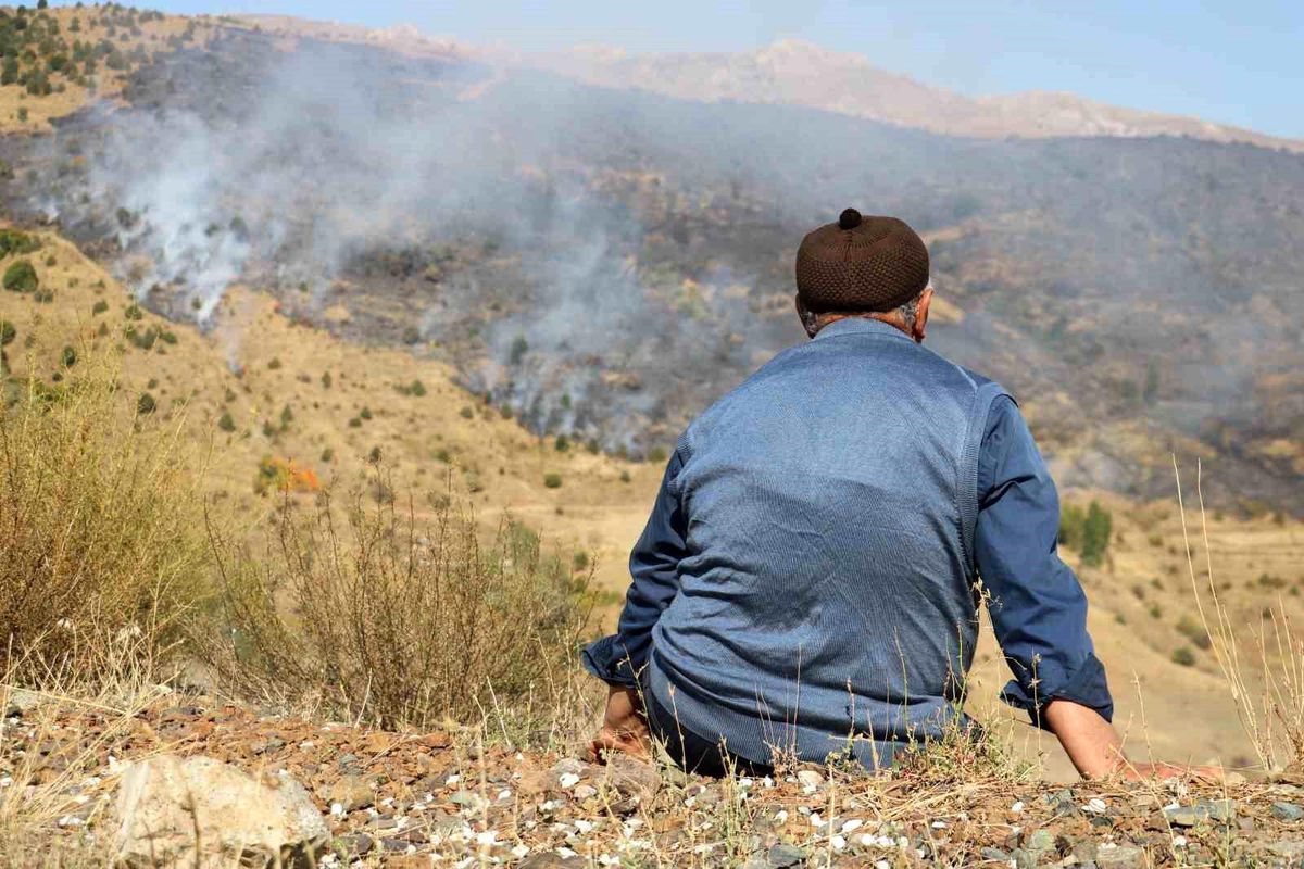 Sivas'ta çıkan orman yangını kontrol altına alındı