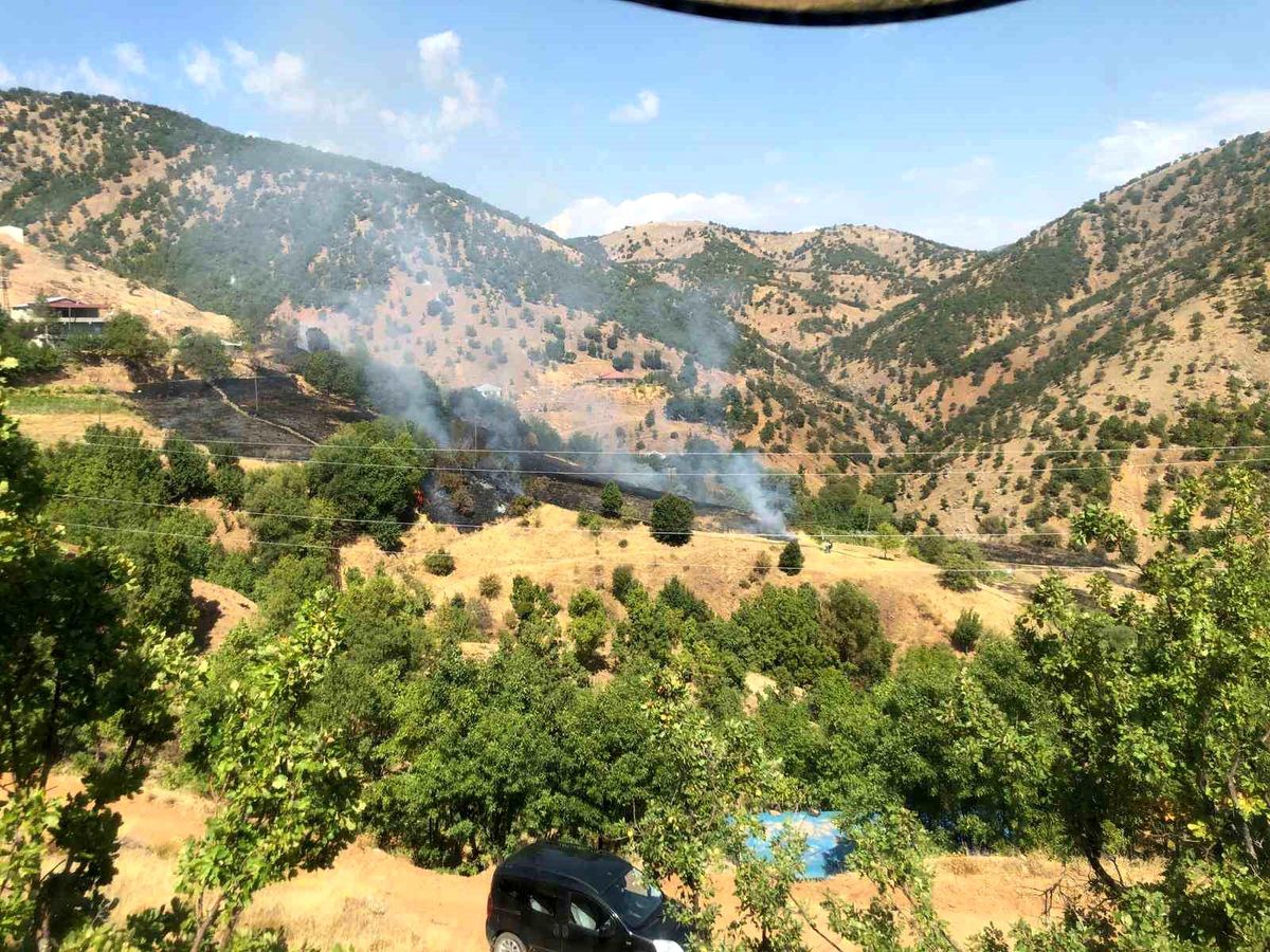 Bingöl'ün Genç ilçesinde köyde çıkan yangın evlere sıçramadan söndürüldü