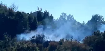 Zonguldak'ta çalılık alanda çıkan yangın büyümeden söndürüldü