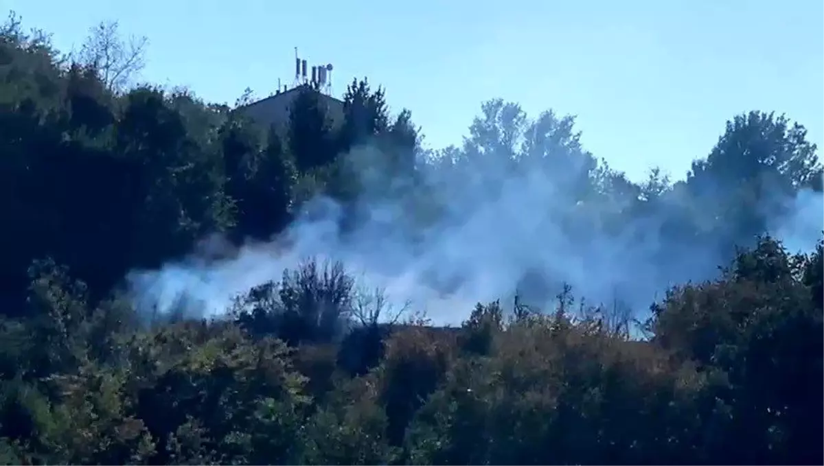 Zonguldak'ta çalılık alanda çıkan yangın büyümeden söndürüldü
