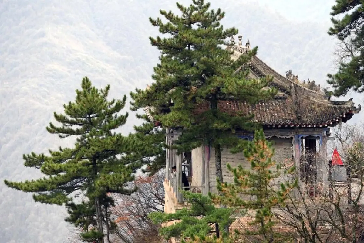 Dünya Taoizm Federasyonu Kuruldu