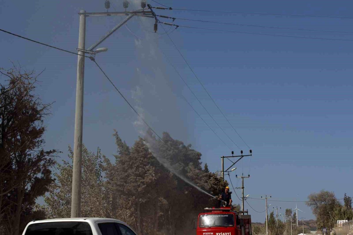 UEDAŞ, denize yakın bölgedeki elektrik şebekesini temizliyor