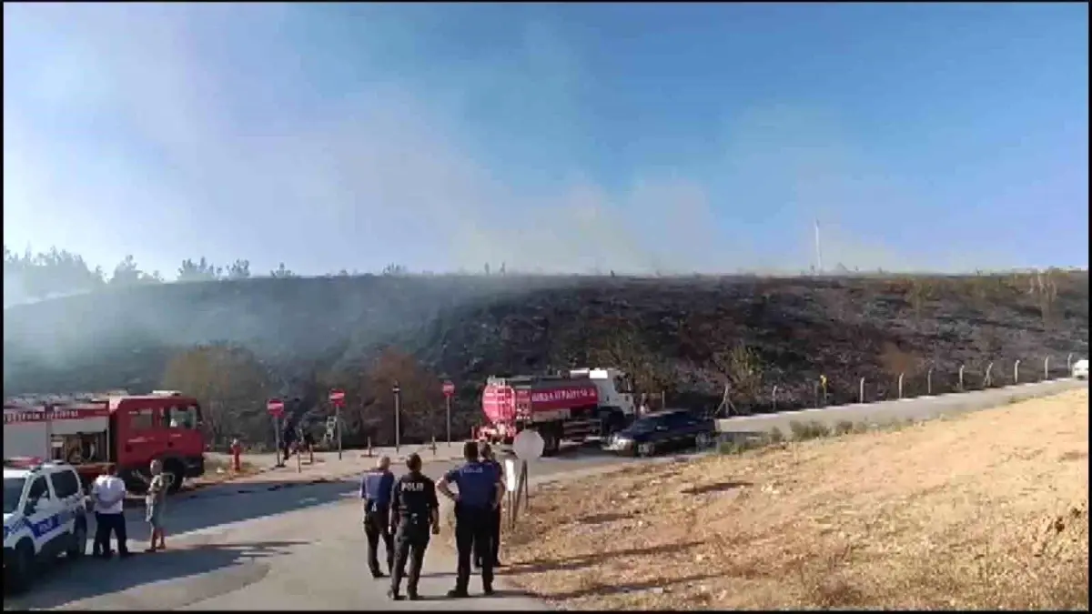 Bursa'da Gençlerin Attığı Torpil Yangına Sebep Oldu