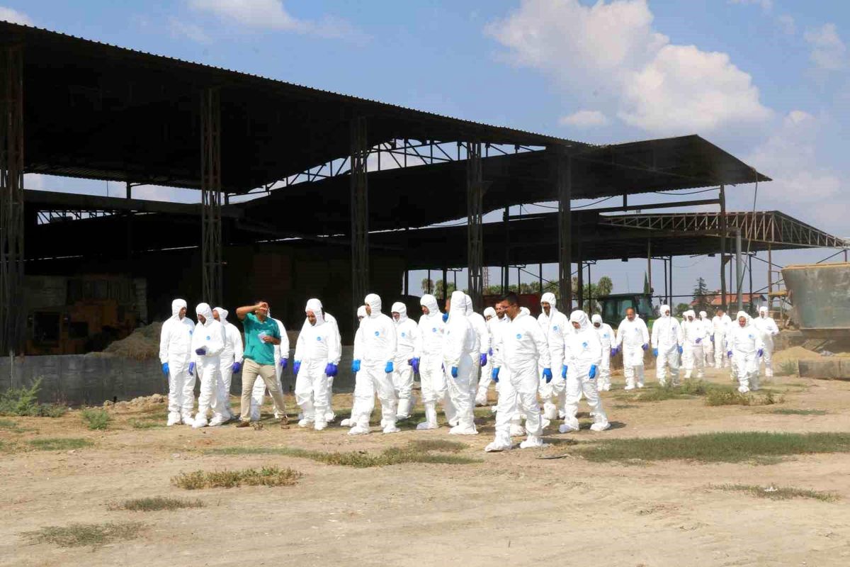 Adana'da Şap Hastalığı Kontrolü İçin Eğitim Düzenlendi