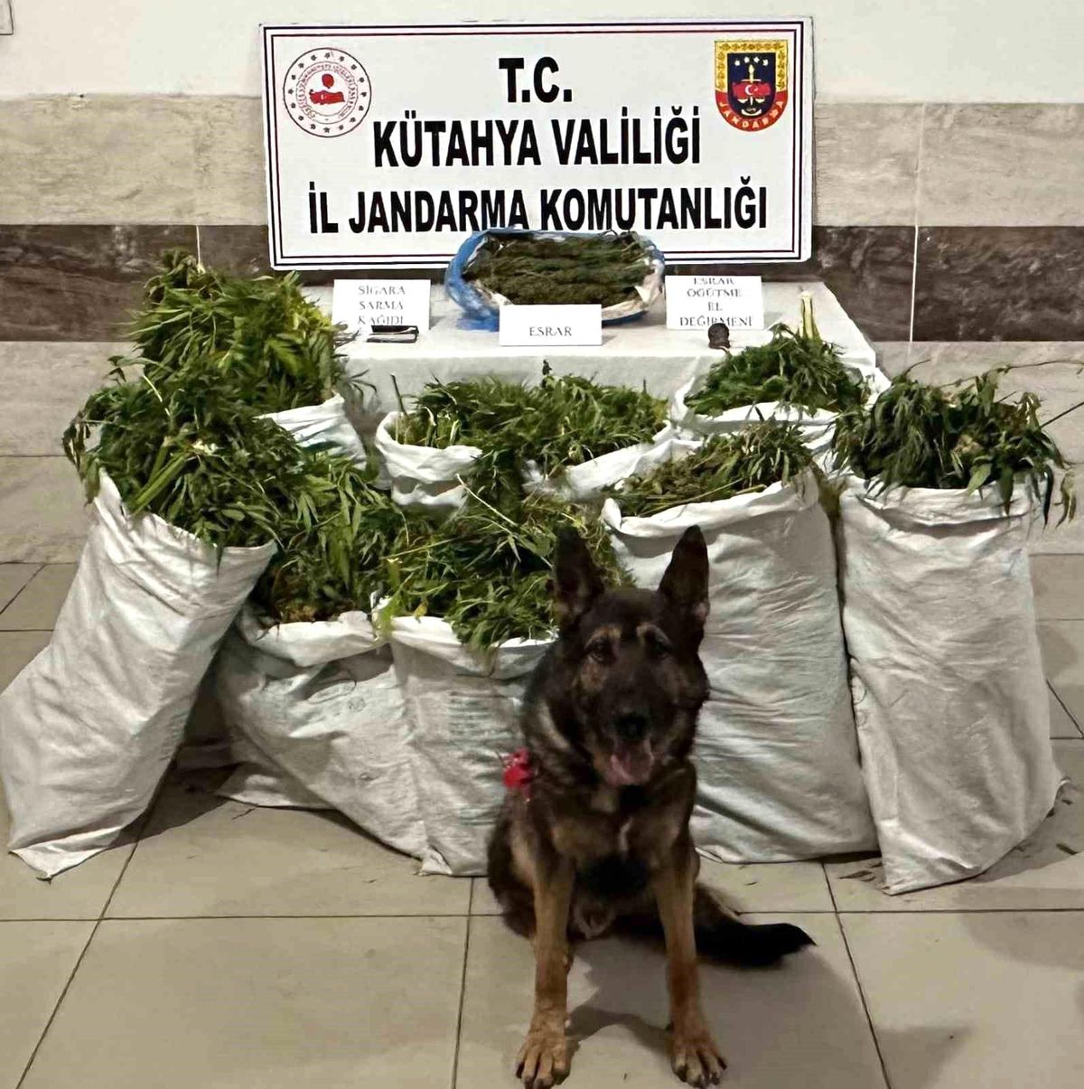 Kütahya'da 41 Kilogram Esrar Bulunduran Şüpheli Tutuklandı