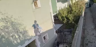 Yalova'da otomobil villanın bahçesine düştü