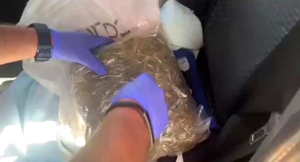 Sinop'ta Uyuşturucu Operasyonu: 1 Kilo 971 Gram Skunk Ele Geçirildi
