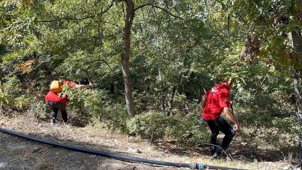 Eskişehir'de Kayıp Kadının Zehirlenerek Öldürüldüğü Ortaya Çıktı