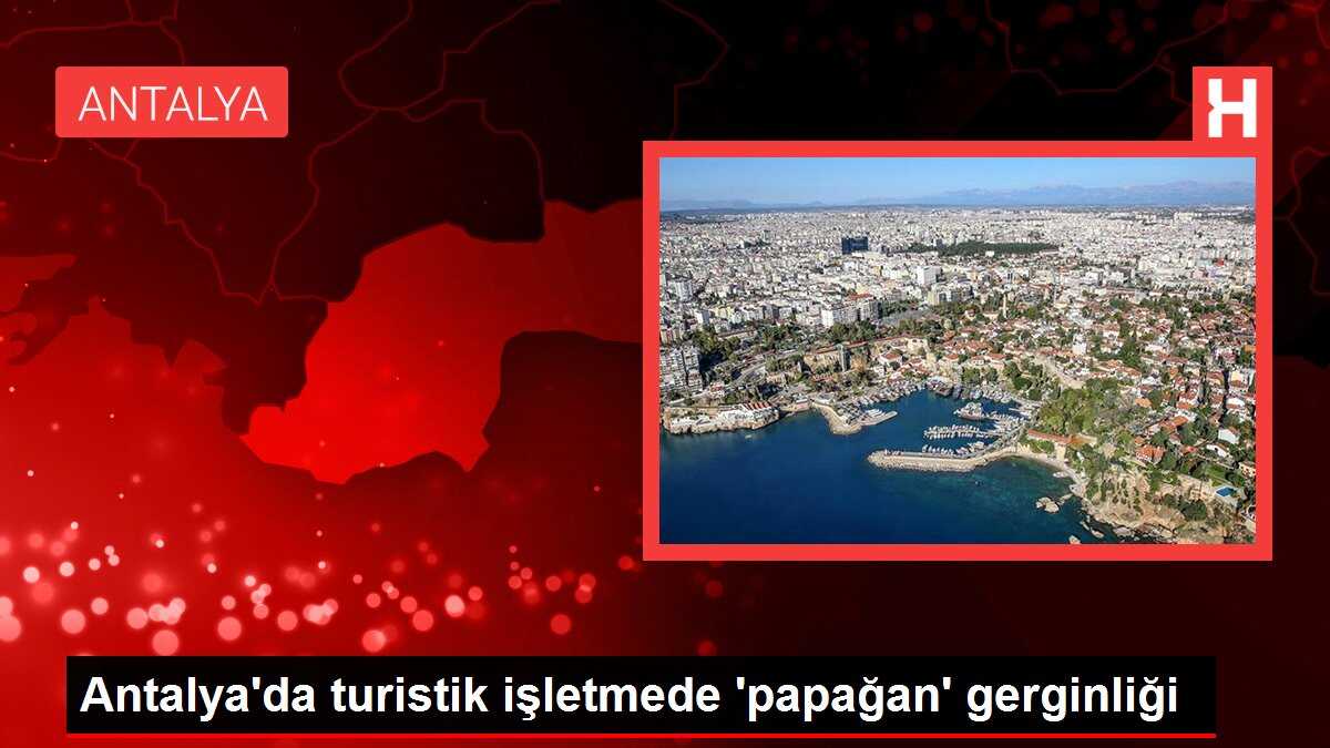 Antalya'da turistik işletmede 'papağan' gerginliği