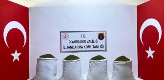 Diyarbakır'da yapılan operasyonda 117 kilo esrar ele geçirildi