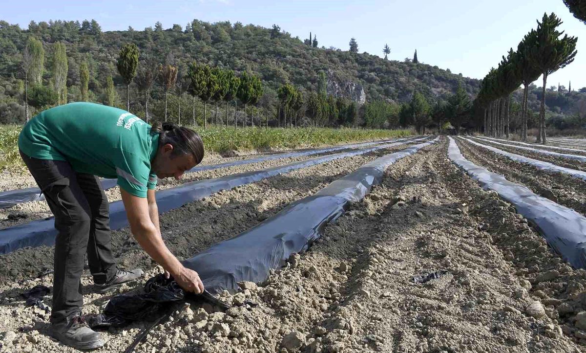 Kuşadası Belediyesi Adabahçe'de Kış Hazırlıklarına Başladı