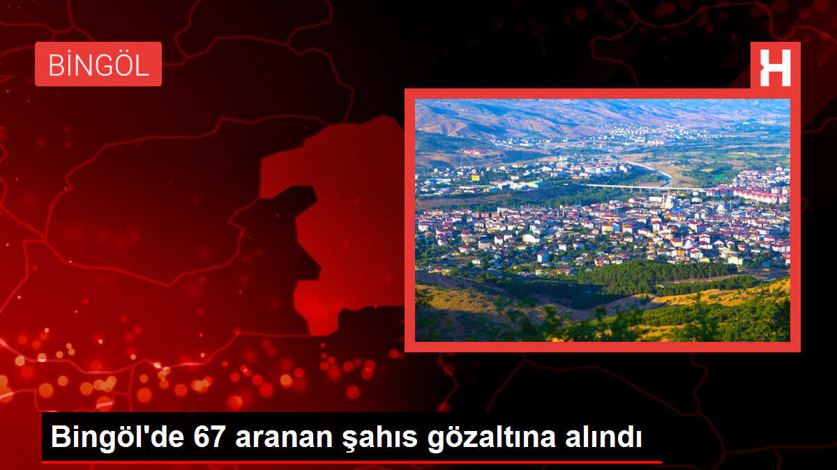 Bingöl'de 67 aranan şahıs gözaltına alındı