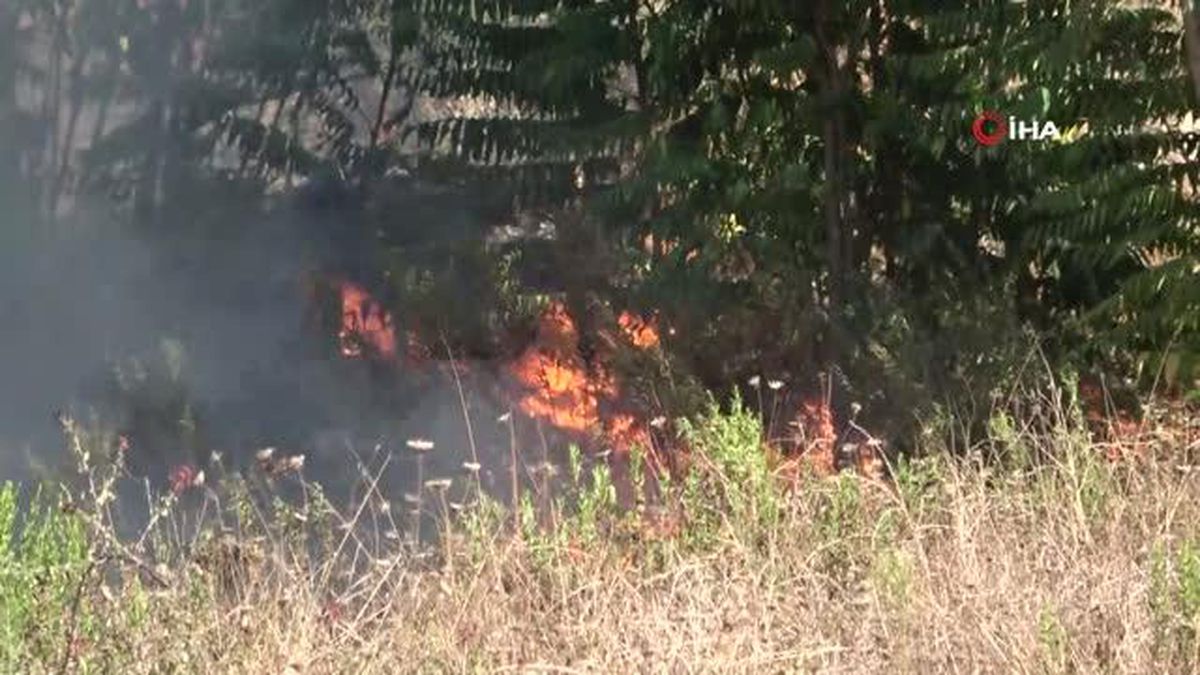 Çöplük yangını kuru otlara sıçradı, sürücüler zor anlar yaşadı