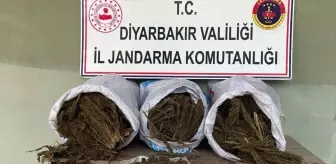 Diyarbakır'da 121 Kilo Esrar Ele Geçirildi