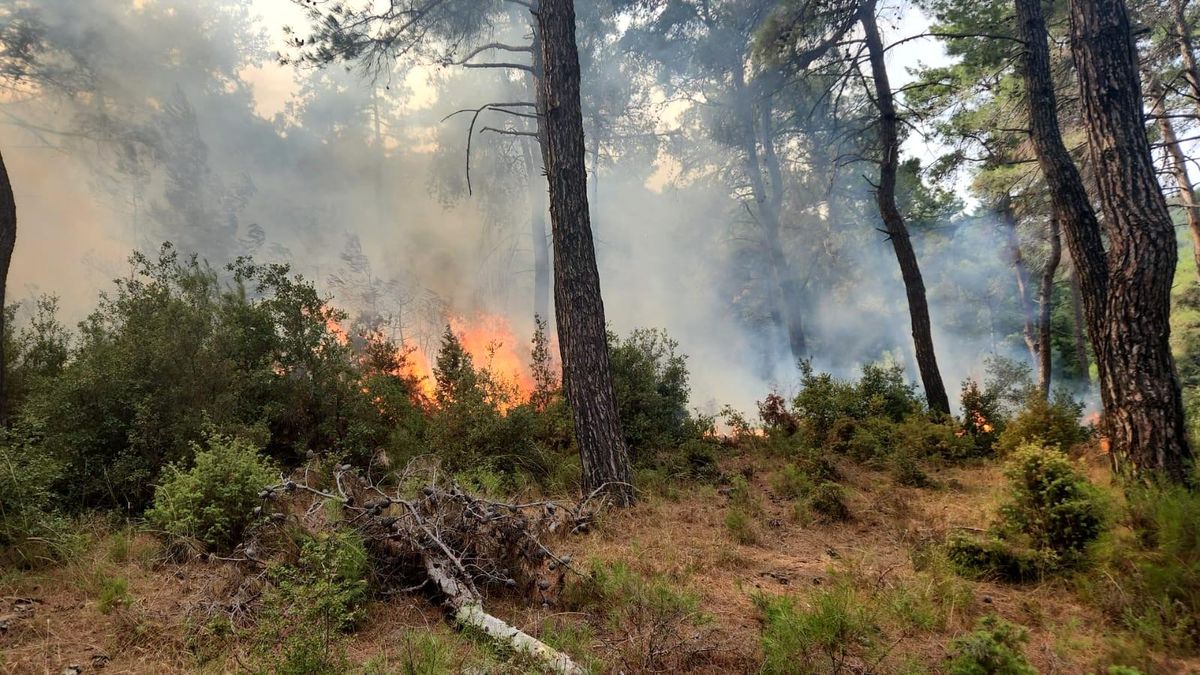 Çanakkale'de Yıldırım Düşmesi Sonucu 6 Orman Yangını