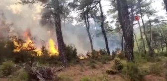 Çanakkale'de Yıldırım Düşmesi Sonucu Orman Yangını Çıktı