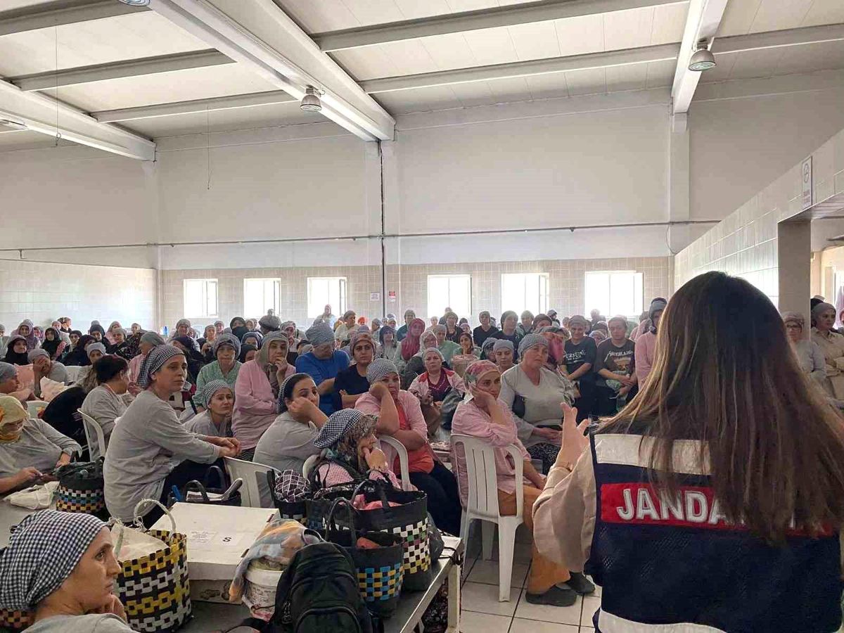 Aydın'da İncir İşletmesinde 'En İyi Narkotik Polisi Anne' Projesi