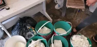 Bursa'da Sağlıksız Koşullarda Üretilen Peynir ve Kaymak İmha Edildi