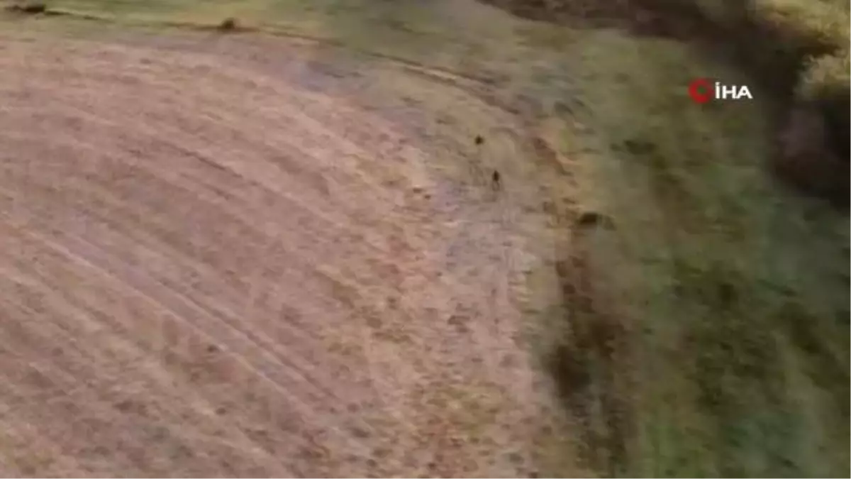 Tekirdağ'da Termal Kameralı İHA ile Kaçak Göçmen Operasyonu