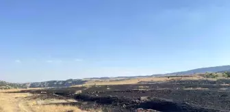 Tunceli'de otluk alanda çıkan yangın söndürüldü